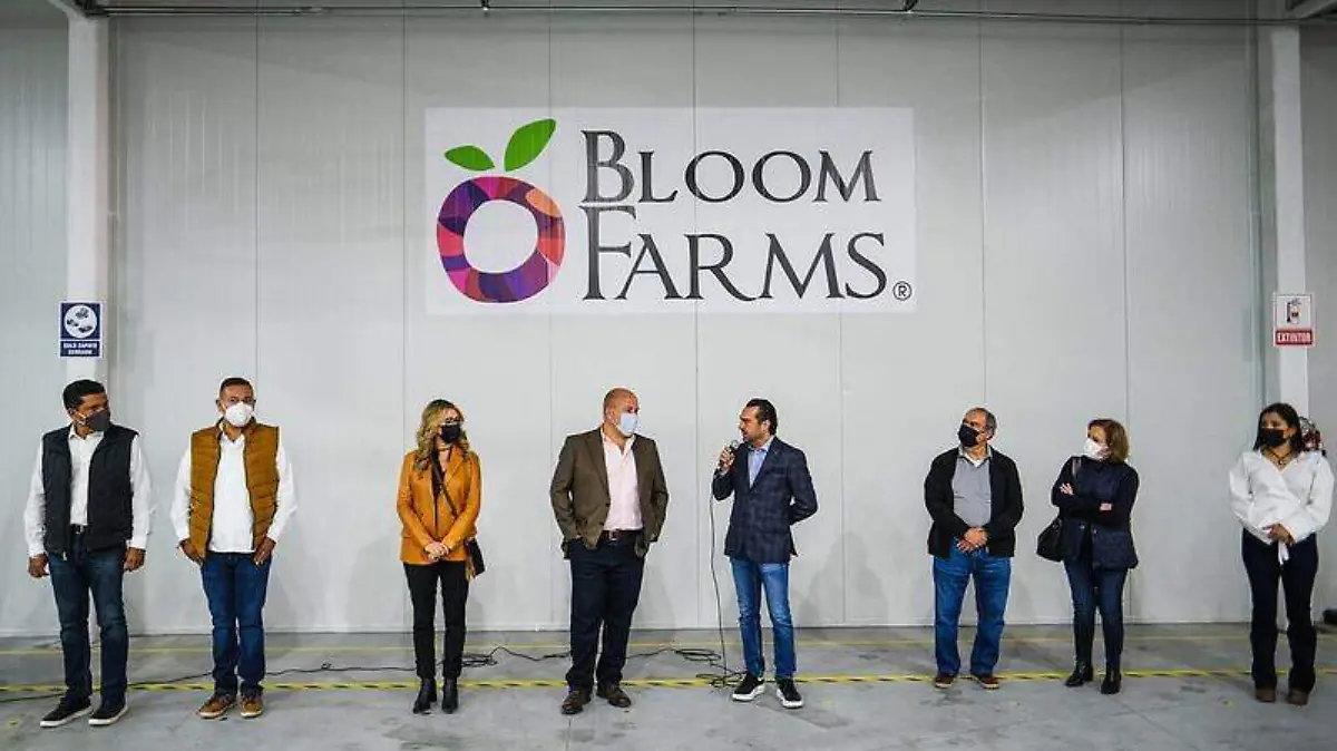 Bloom Farms